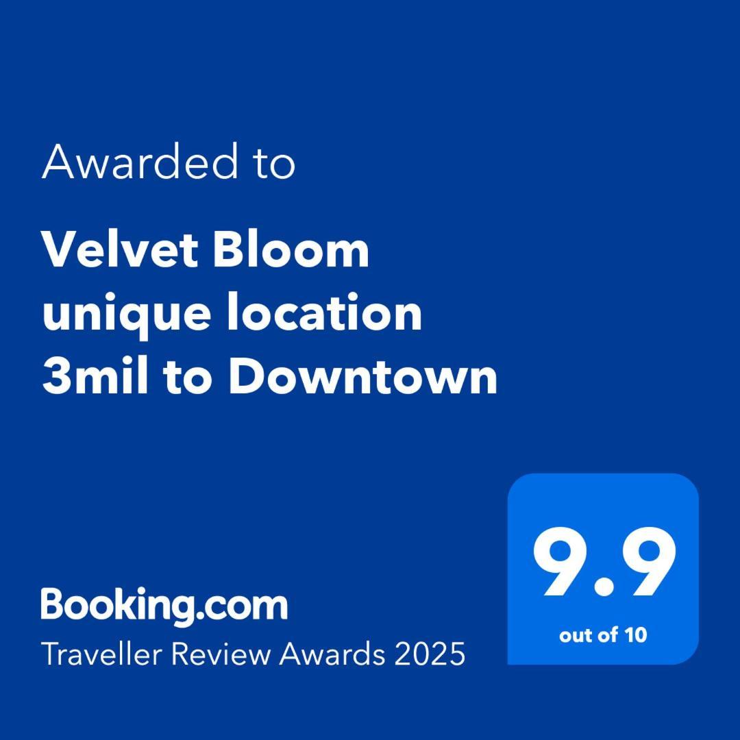 Velvet Bloom Unique Location 3Mil To Downtown Villa North North Naples Екстериор снимка